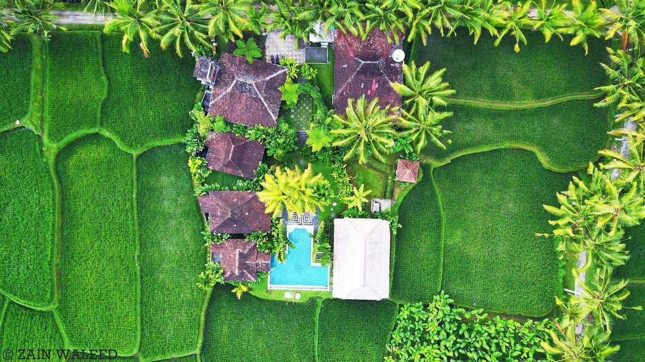 Hati Padi Cottages Убуд Екстер'єр фото