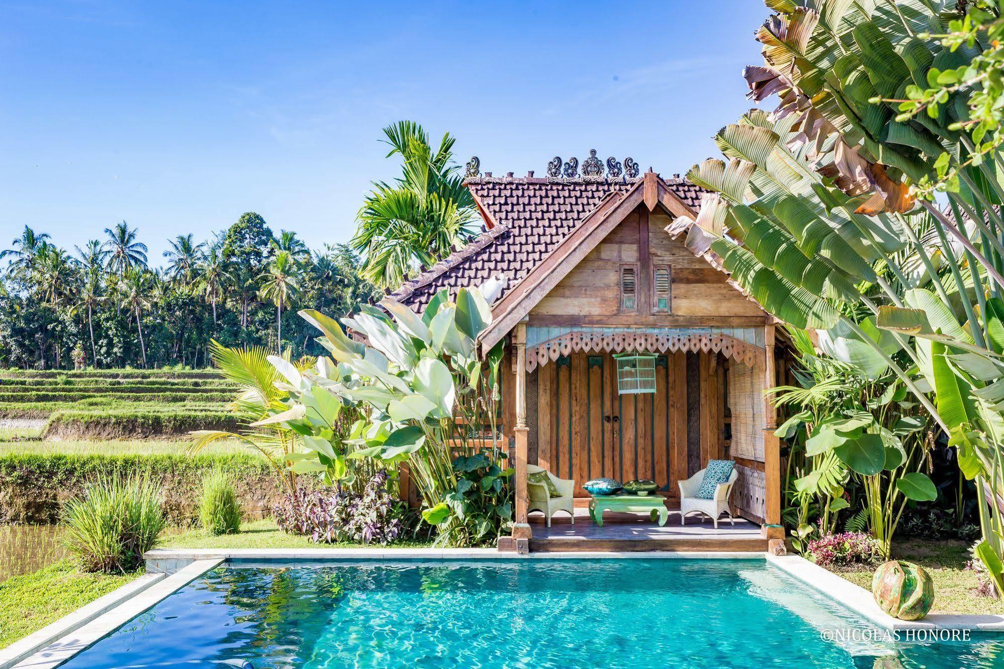 Hati Padi Cottages Убуд Екстер'єр фото