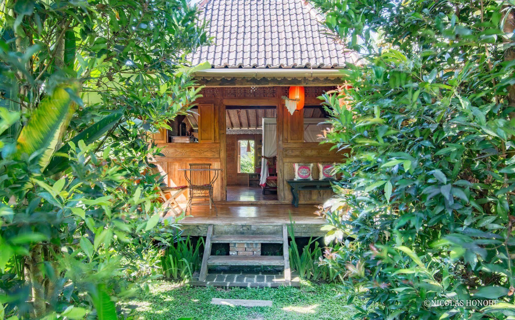 Hati Padi Cottages Убуд Екстер'єр фото