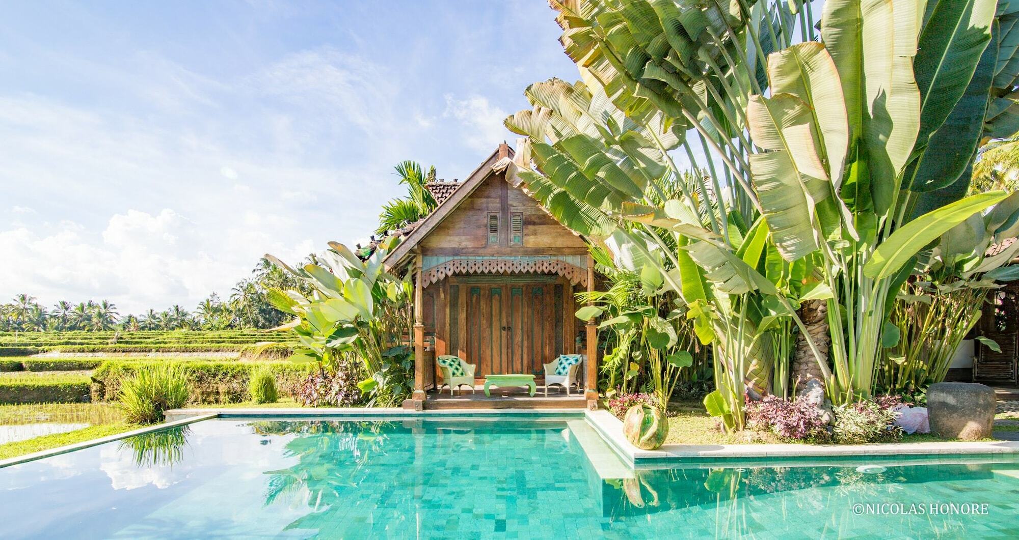Hati Padi Cottages Убуд Екстер'єр фото